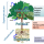 El árbol social (dinámica)